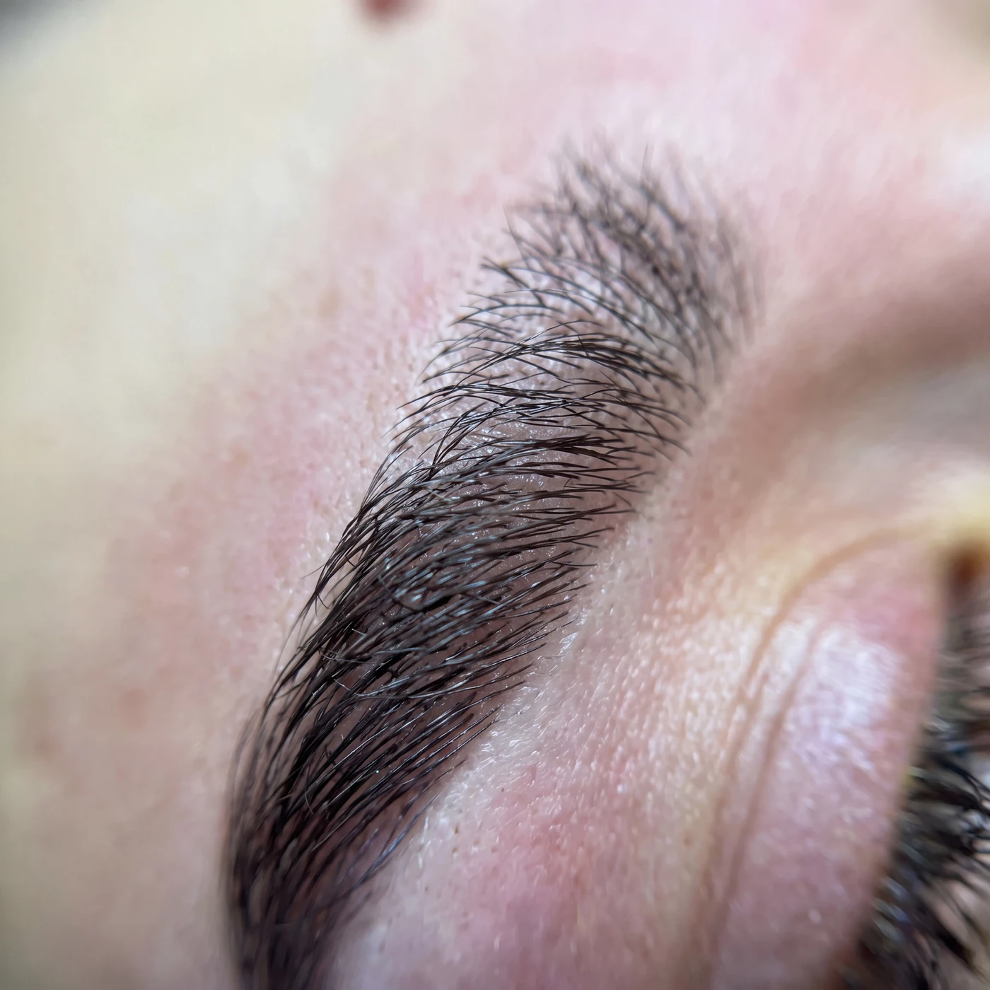 Sprâncene aranjate după tratament la Prestige Beauty Salon Suceava
